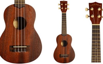 Starting a Ukulele Program in Your Classroom: Part 1 of 6