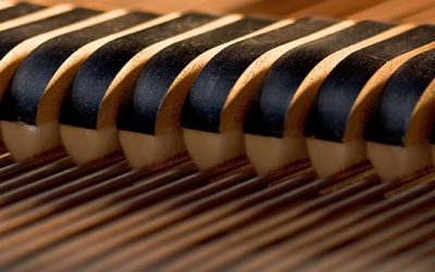 It’s Science! Basic Acoustics: Frequency, Wavelength & Pitch