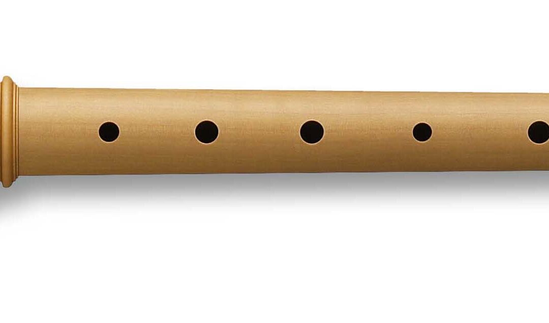 5 Easy Steps to Master the Recorder