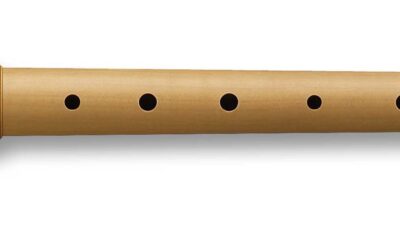 5 Easy Steps to Master the Recorder