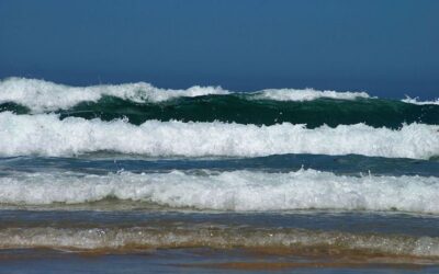 It’s Science! Basic Acoustics for Musicians and Music Lovers