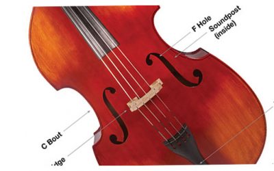 First Time String Bass Players