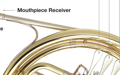 First Time French Horn Players