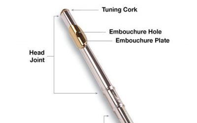 First Time Flute Players