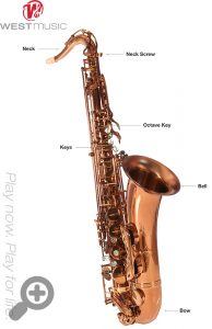 tenor sax diagraph
