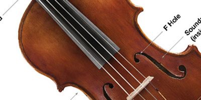 First Time Viola Players