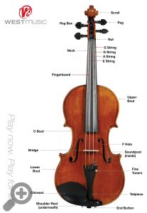 student violin diagram