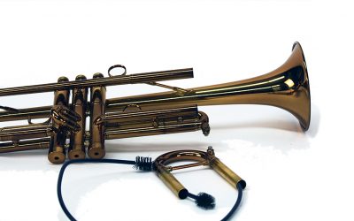 Brass Wind Instrument Care Tips