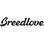 breedlove guitars