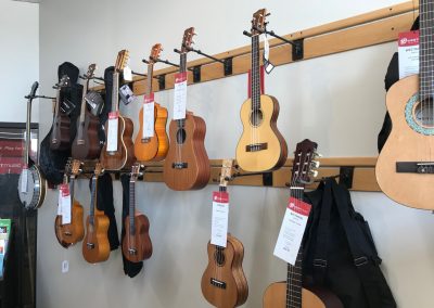 Ukuleles, Banjos, and Folk Instruments